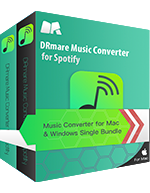 paquete spotify music converter